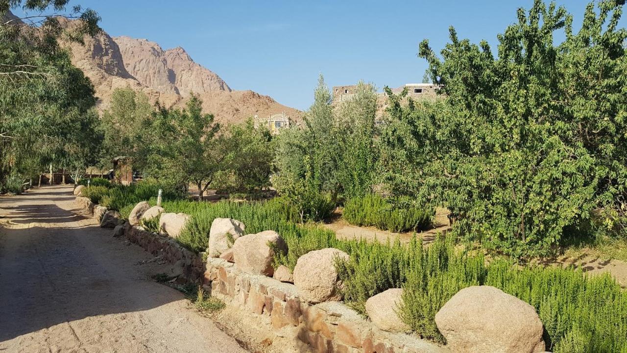 Fox Camp Otel Saint Catherine Dış mekan fotoğraf