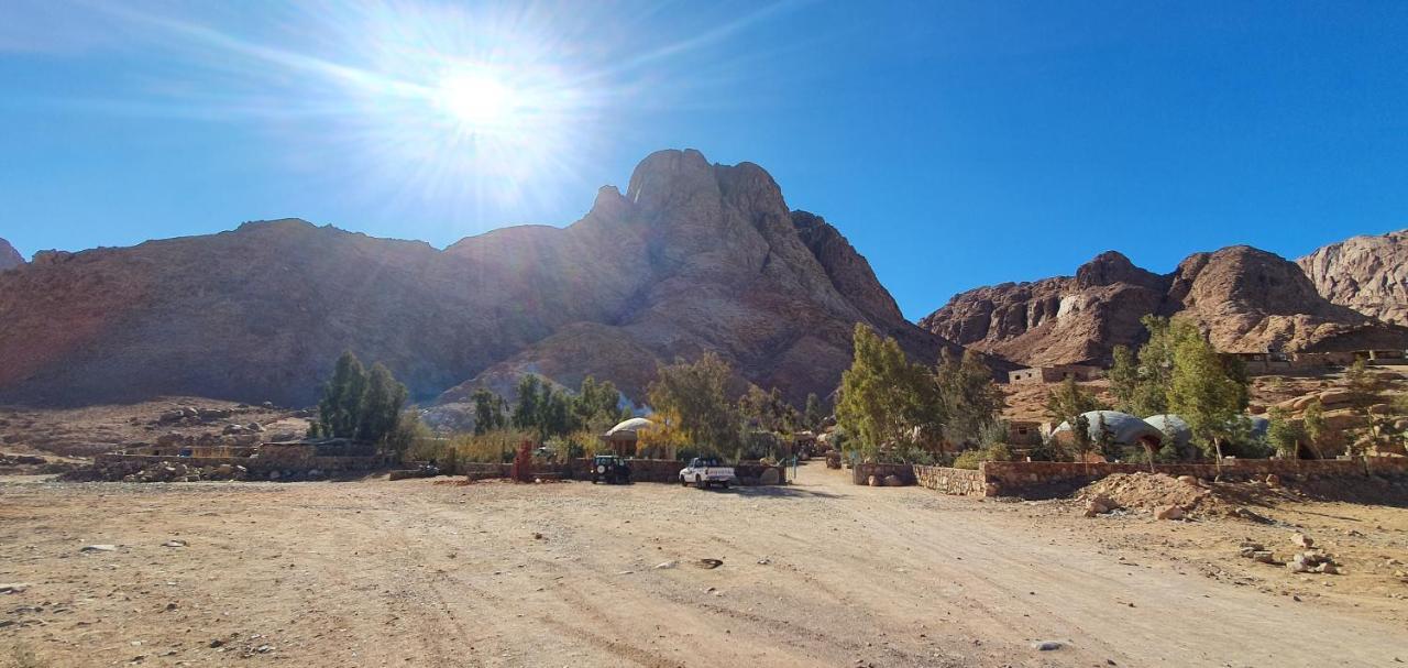 Fox Camp Otel Saint Catherine Dış mekan fotoğraf