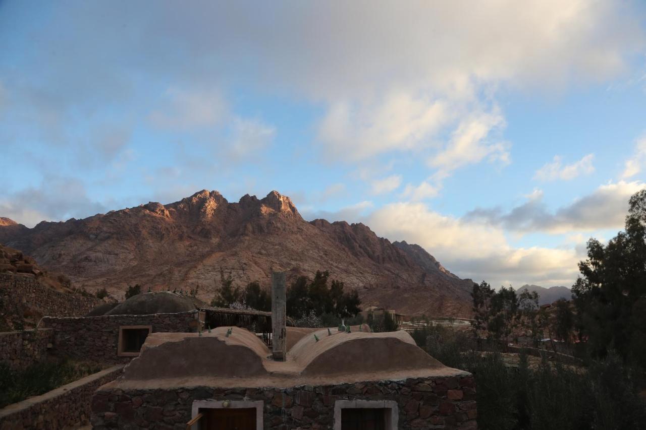 Fox Camp Otel Saint Catherine Dış mekan fotoğraf
