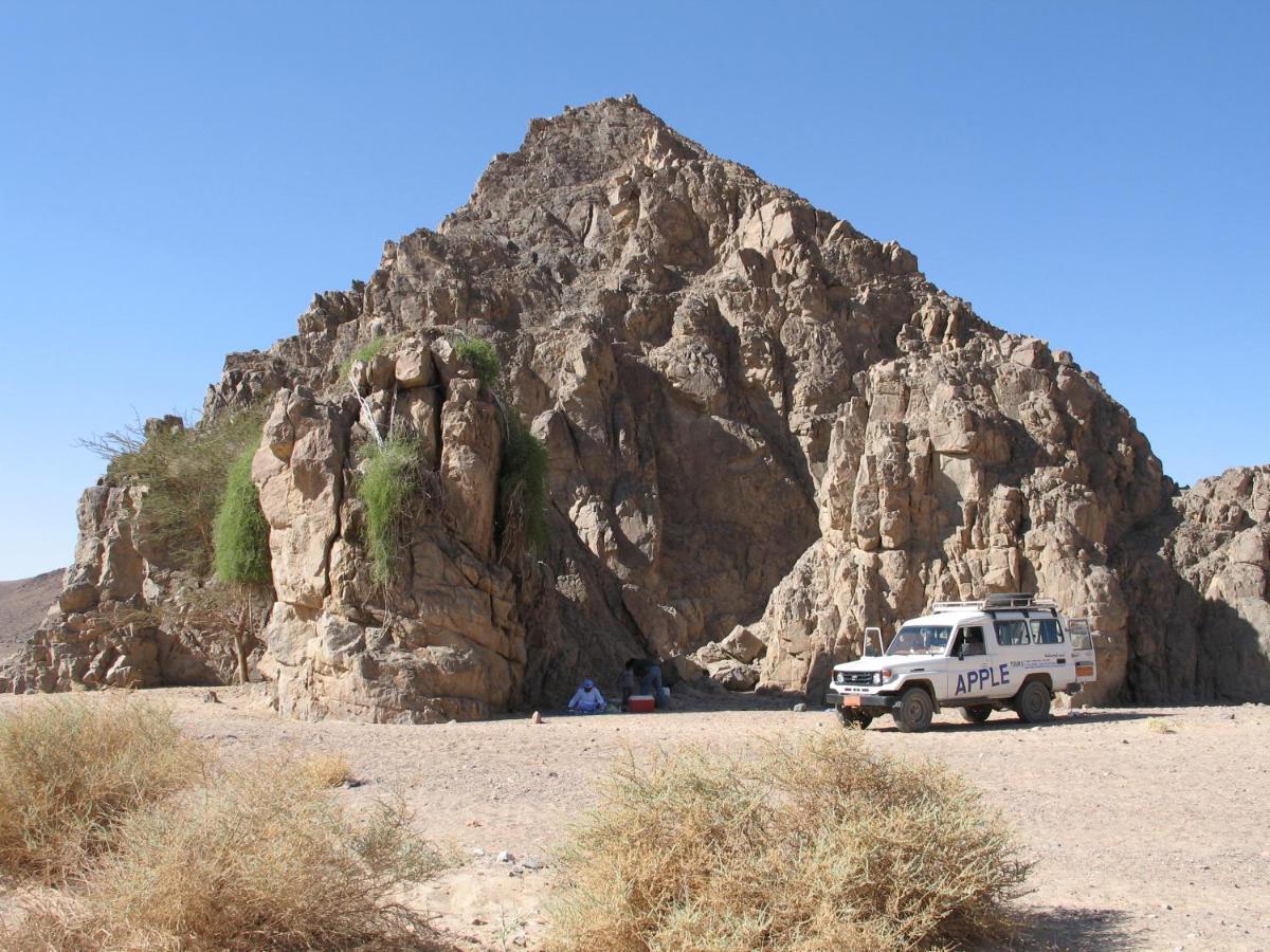 Fox Camp Otel Saint Catherine Dış mekan fotoğraf