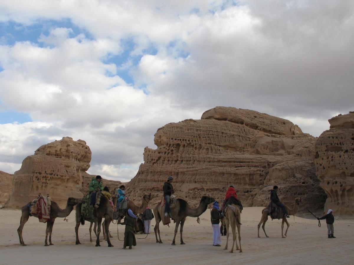 Fox Camp Otel Saint Catherine Dış mekan fotoğraf