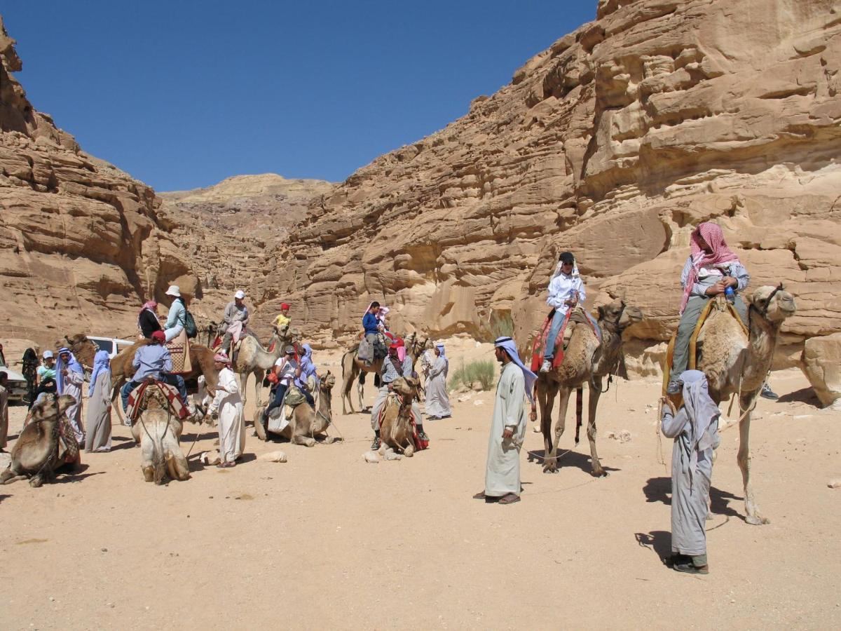 Fox Camp Otel Saint Catherine Dış mekan fotoğraf