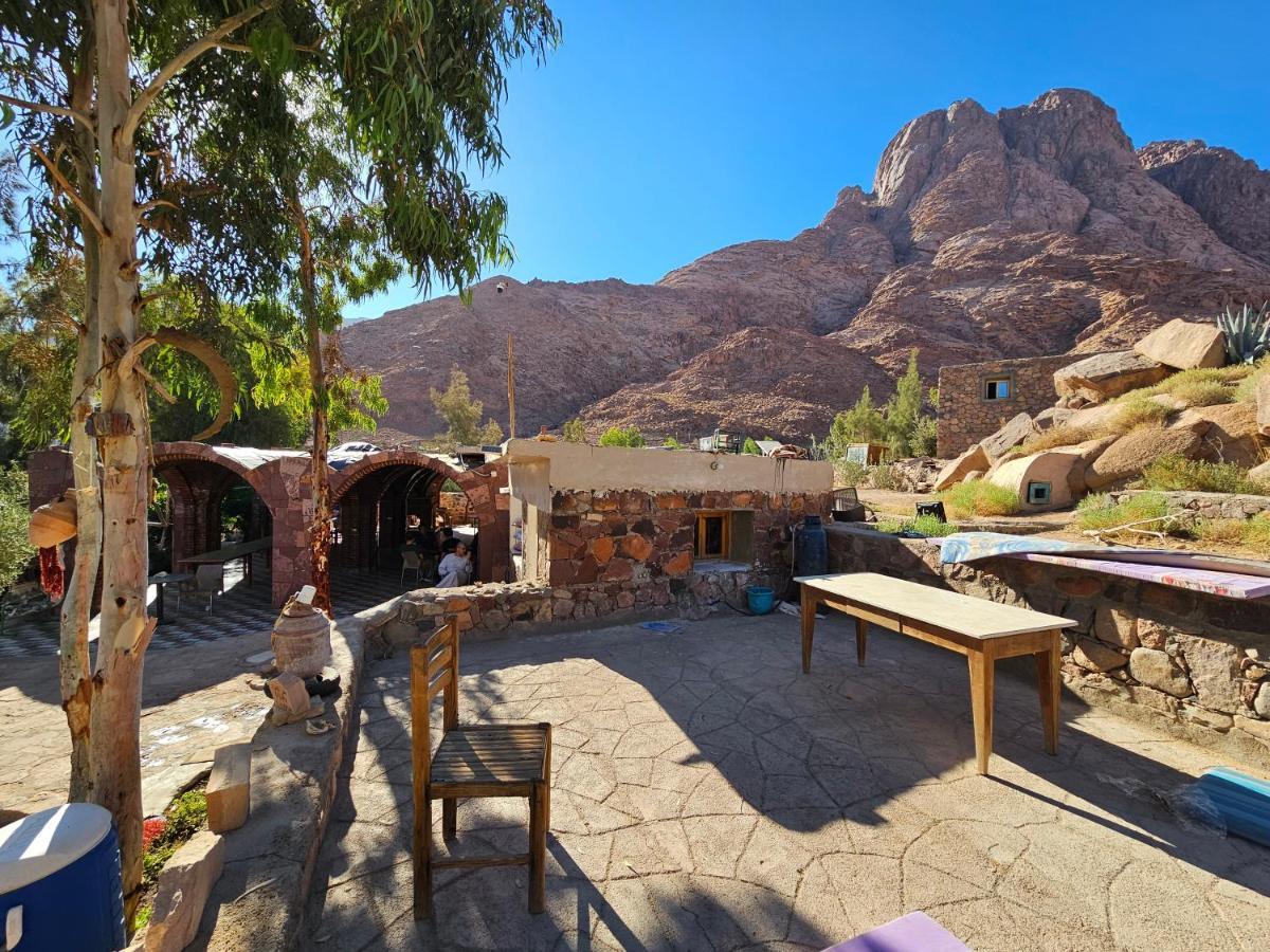Fox Camp Otel Saint Catherine Dış mekan fotoğraf